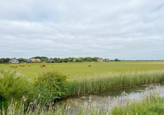 Image 27
