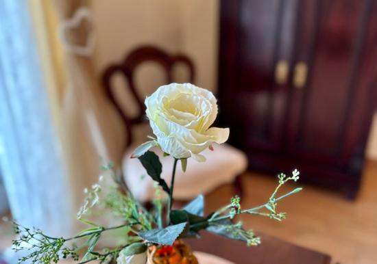 Image 17