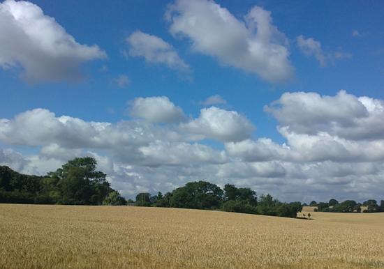 Image 32