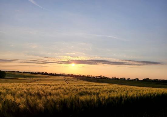 Image 27