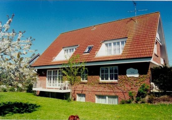 Image 13
