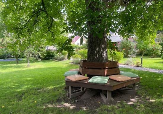 Image 22