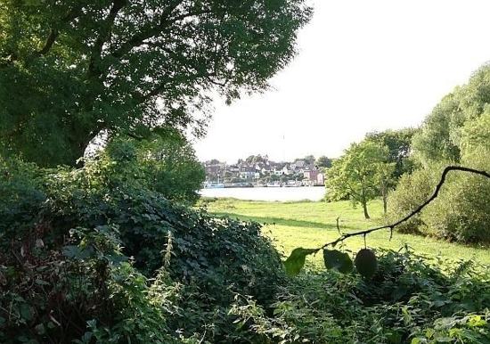 Image 17
