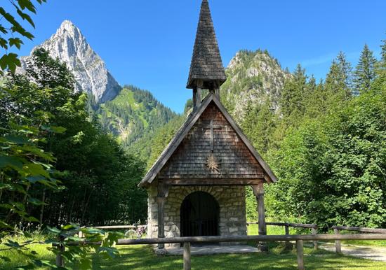 Image 12