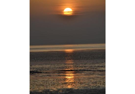 Image 27