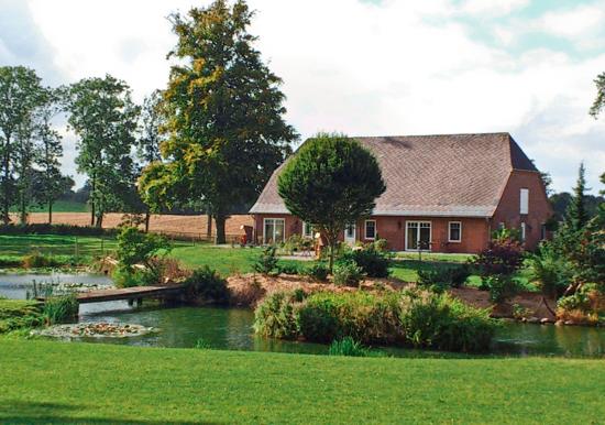 Image 25