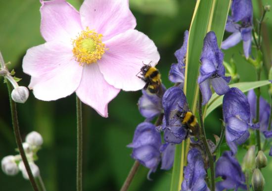Image 27