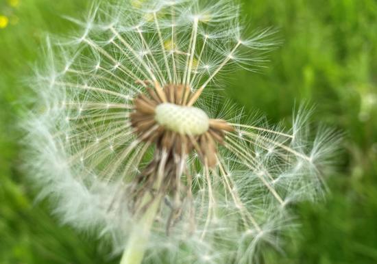 Image 28