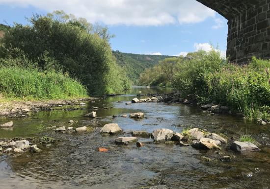 Image 25