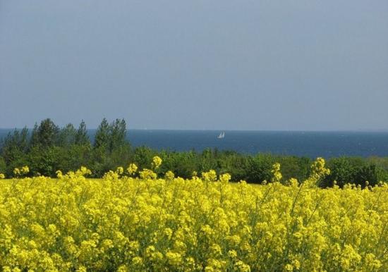 Image 14