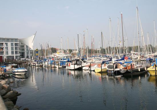 Image 20