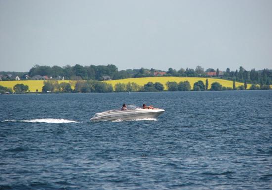 Image 30