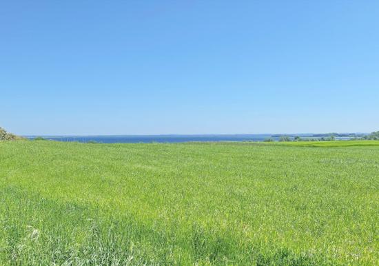 Image 32