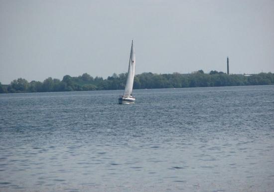 Image 17