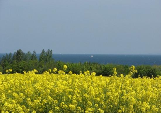Image 18