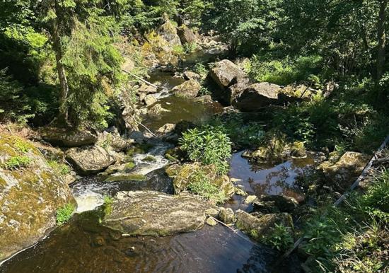 Image 23