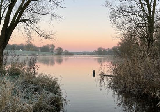 Image 28