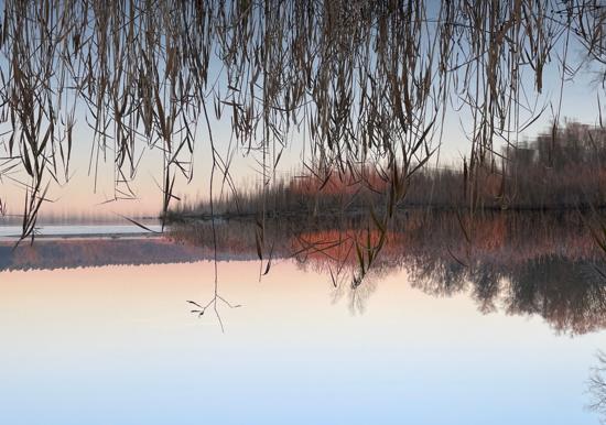 Image 29