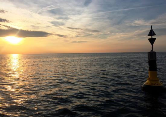 Image 21