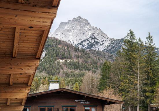 Image 22