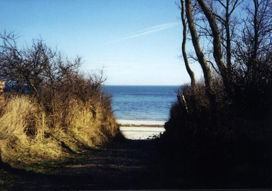 Image 29