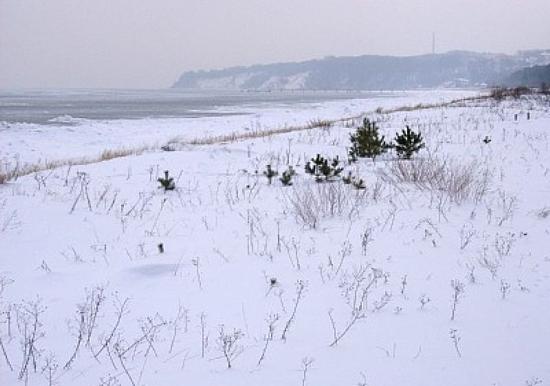 Image 19