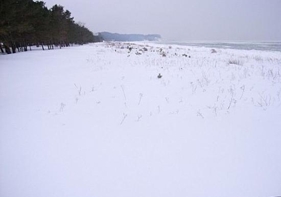 Image 20