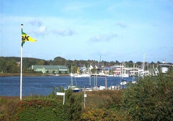 Image 10
