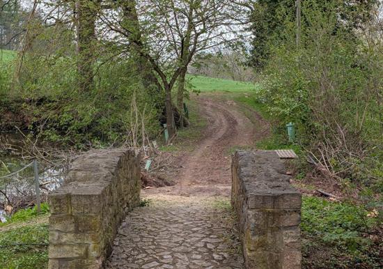 Image 38