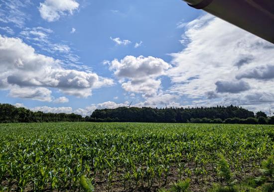 Image 17