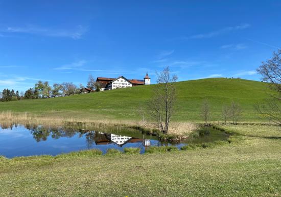 Image 21
