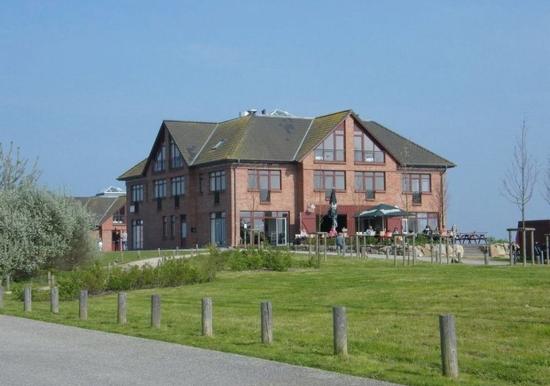 Image 15