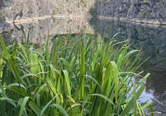 Image 15
