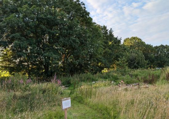 Image 26