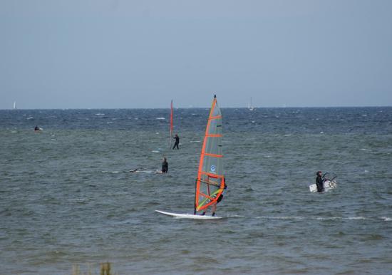 Image 14