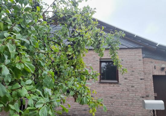 Image 22