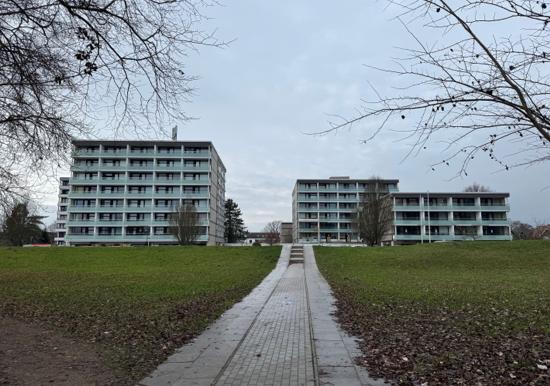 Image 19