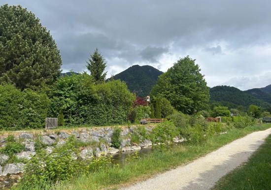 Image 24