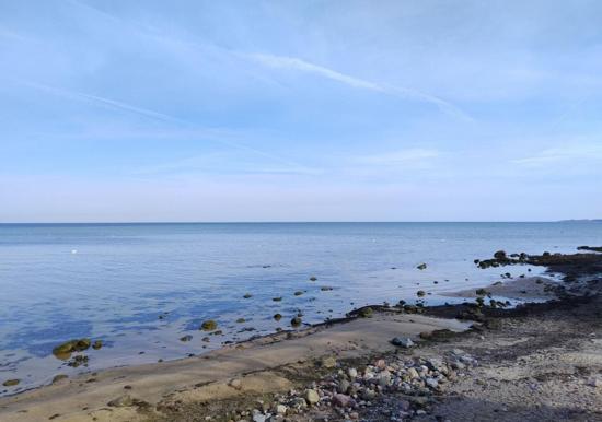 Image 13