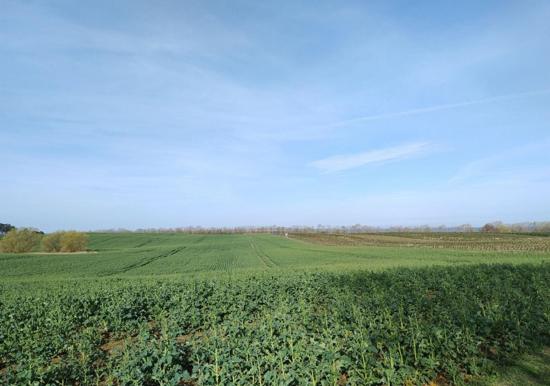 Image 16