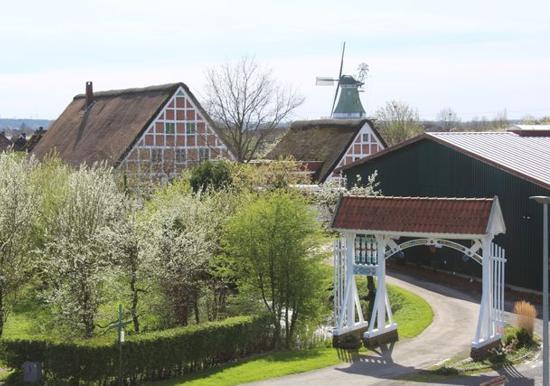 Image 15
