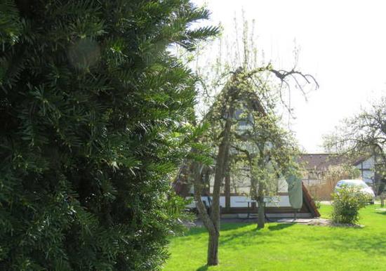 Image 18