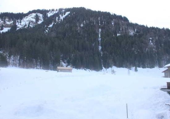 Image 36