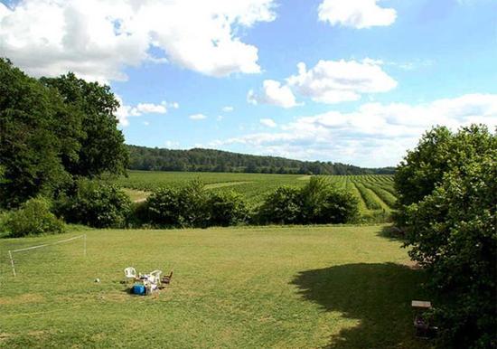 Image 13