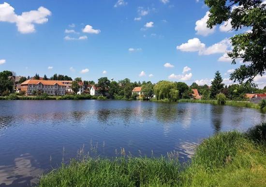 Image 22