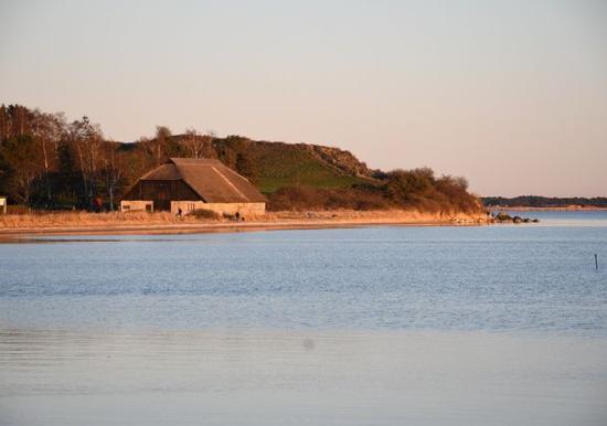 Image 31
