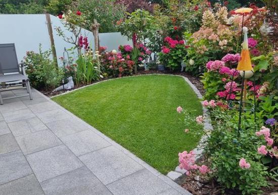 Image 21