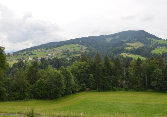 Image 15