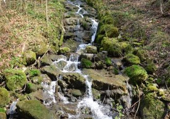 Image 16