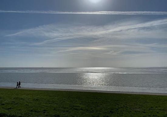 Image 22